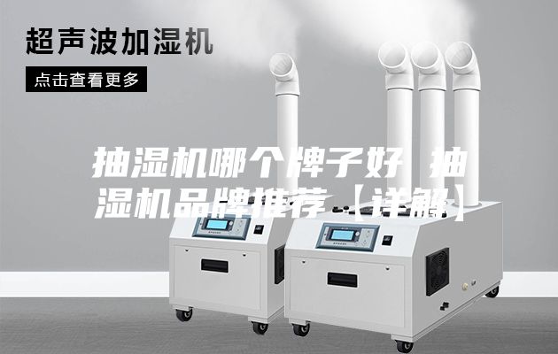 抽湿机哪个牌子好 抽湿机品牌推荐【详解】