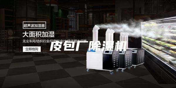 皮包厂除湿机