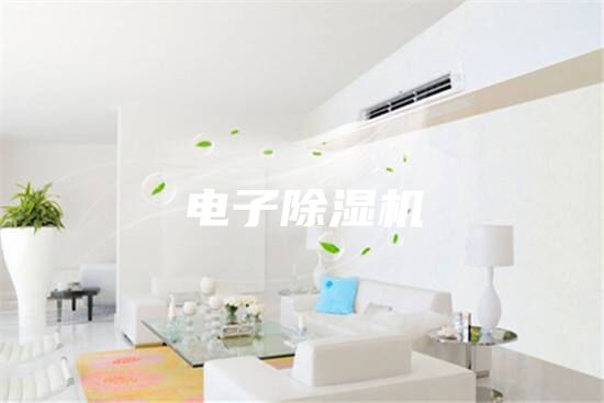 电子除湿机