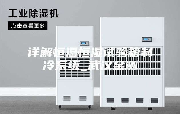 详解恒温恒湿试验箱制冷系统_武汉金测
