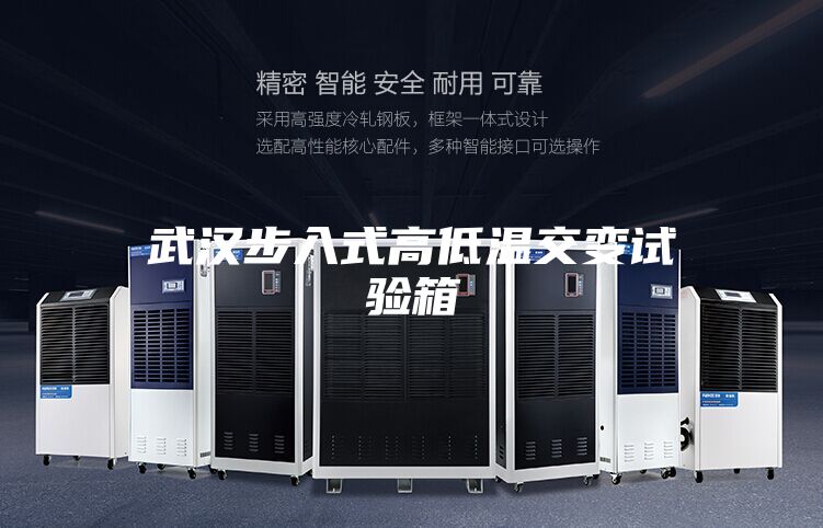 武汉步入式高低温交变试验箱