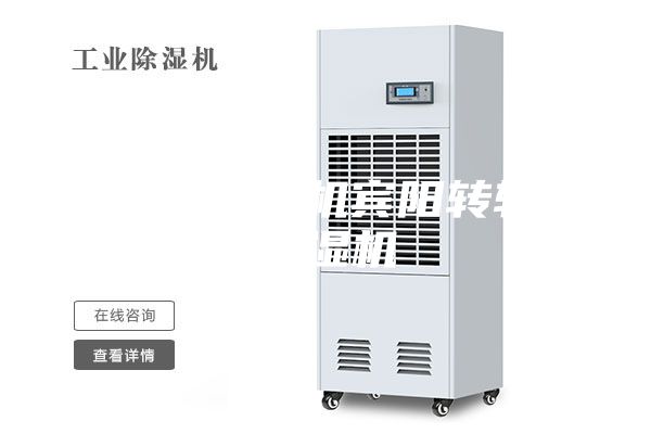 空气除湿机宾阳转轮除湿机