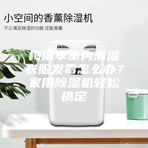 梅雨季室内潮湿衣服发霉怎么办？家用除湿机轻松搞定