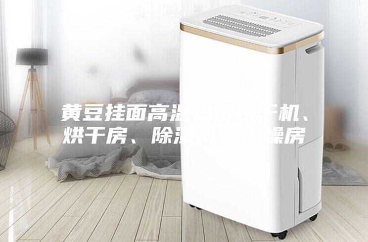 黄豆挂面高温热泵烘干机、烘干房、除湿机、干燥房