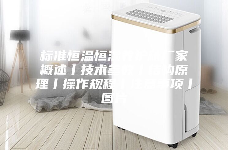标准恒温恒湿养护箱厂家概述丨技术参数丨结构原理丨操作规程丨注意事项丨图片