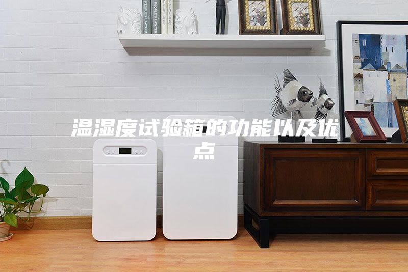 温湿度试验箱的功能以及优点