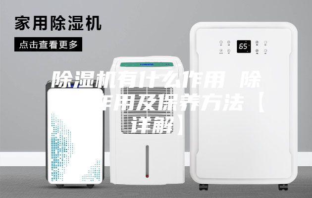 除湿机有什么作用 除湿机作用及保养方法【详解】