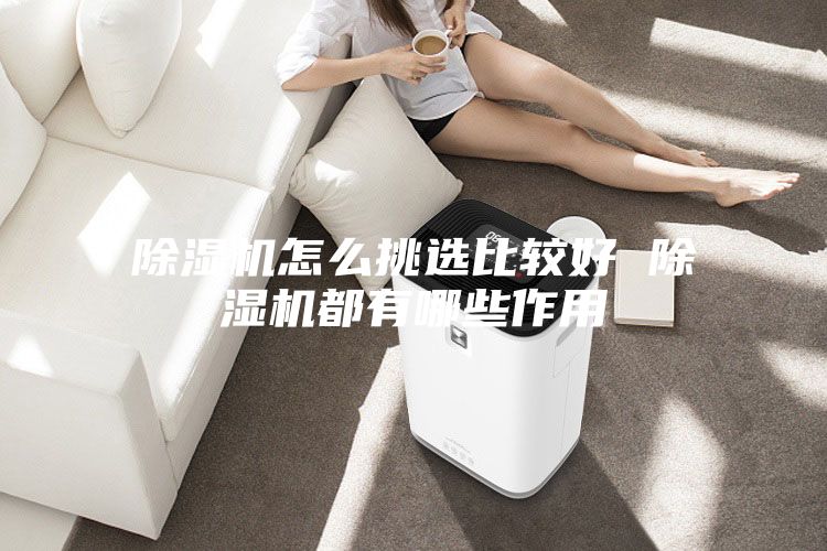 除湿机怎么挑选比较好 除湿机都有哪些作用