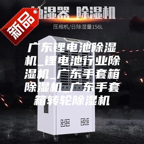 广东锂电池除湿机_锂电池行业除湿机_广东手套箱除湿机_广东手套箱转轮除湿机