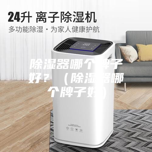 除湿器哪个牌子好？（除湿器哪个牌子好）