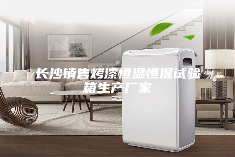 长沙销售烤漆恒温恒湿试验箱生产厂家
