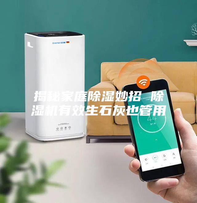 揭秘家庭除湿妙招 除湿机有效生石灰也管用