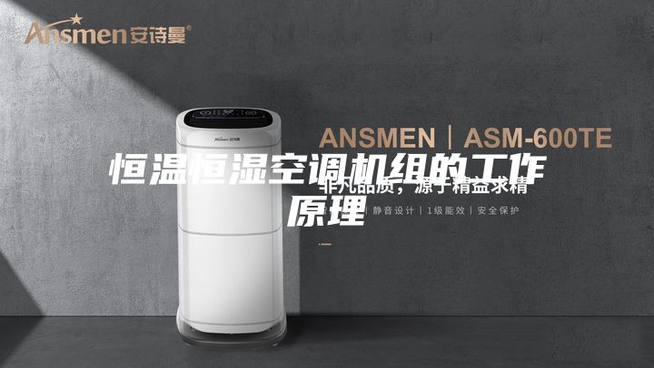 恒温恒湿空调机组的工作原理