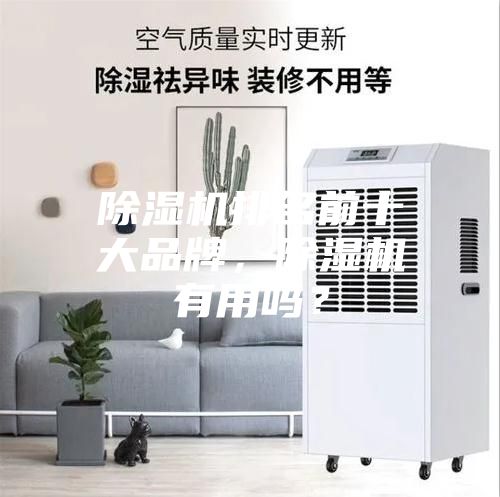 除湿机排名前十大品牌,除湿机有用吗?