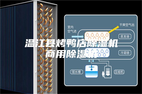 温江县烤鸭店除湿机商用除湿机