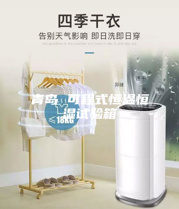 青岛 可程式恒温恒湿试验箱
