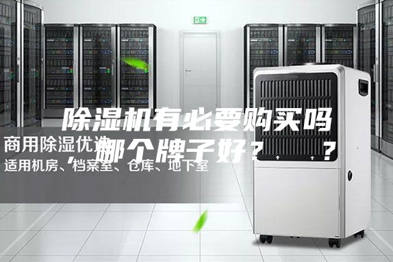 除湿机有必要购买吗，哪个牌子好？  ？