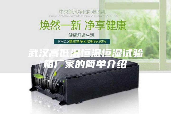 武汉高低温恒温恒湿试验箱厂家的简单介绍