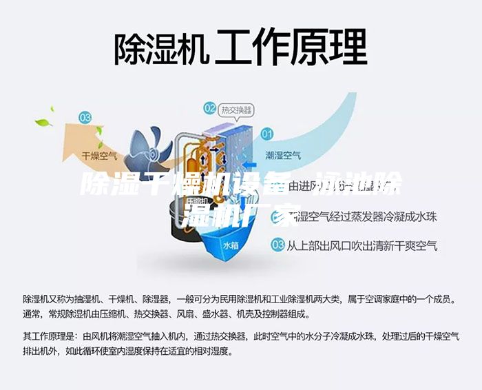 除湿干燥机设备 泳池除湿机厂家