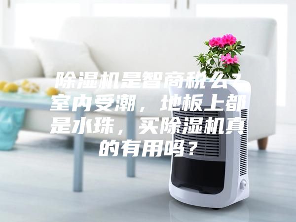 除湿机是智商税么？室内受潮，地板上都是水珠，买除湿机真的有用吗？