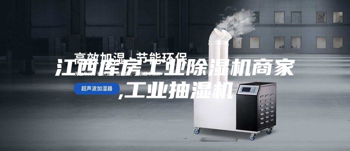 江西库房工业除湿机商家,工业抽湿机