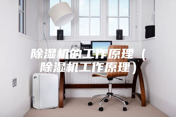 除湿机的工作原理（除湿机工作原理）