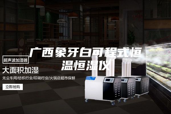 广西象牙白可程式恒温恒湿仪