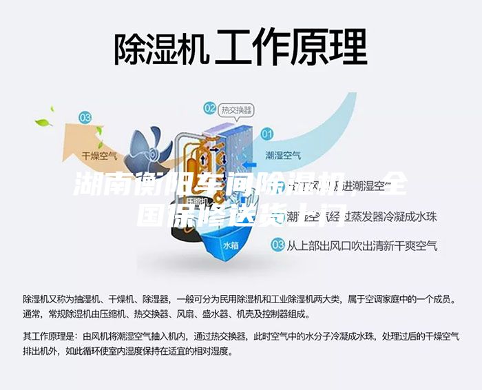 湖南衡阳车间除湿机，全国保修送货上门
