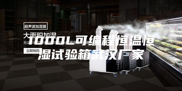 1000L可编程恒温恒湿试验箱武汉厂家