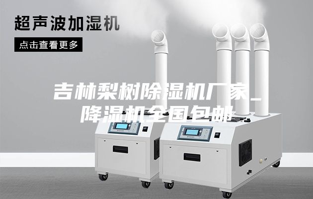 吉林梨树除湿机厂家_降湿机全国包邮