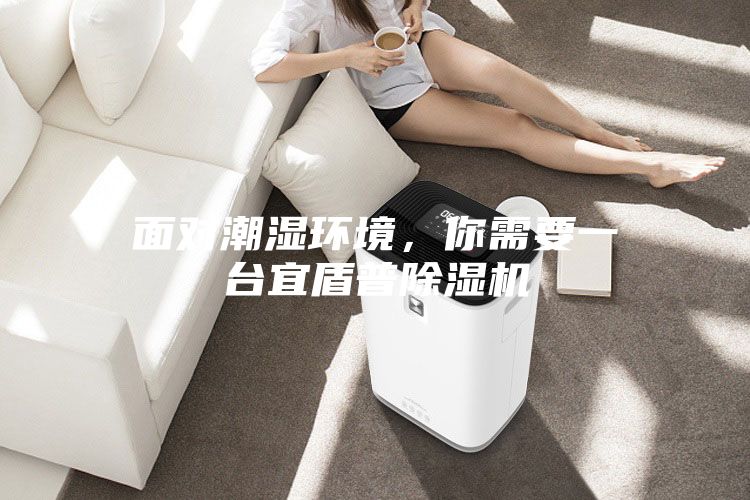 面对潮湿环境，你需要一台宜盾普除湿机