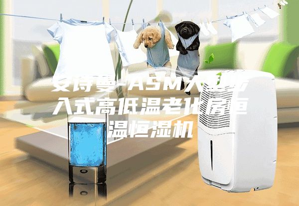 安诗曼-ASM大型步入式高低温老化房恒温恒湿机