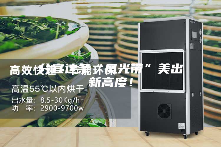 分宜这条“风光带”美出新高度！
