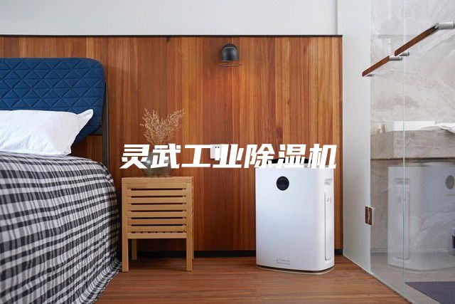 灵武工业除湿机
