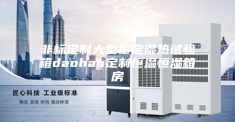 非标定制大型恒定湿热试验箱daohan定制恒温恒湿箱房