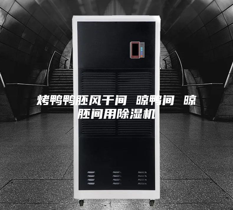 烤鸭鸭胚风干间 晾鸭间 晾胚间用除湿机