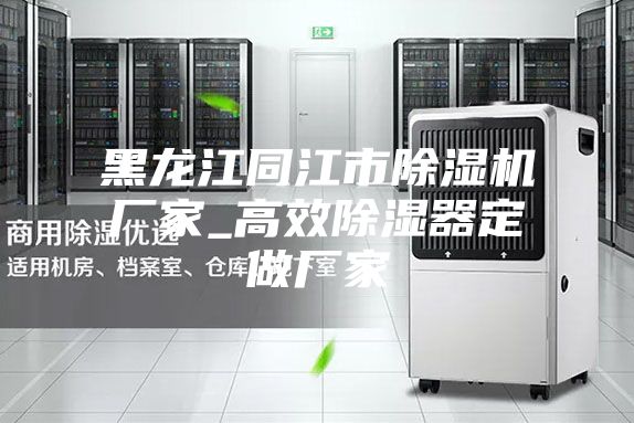 黑龙江同江市除湿机厂家_高效除湿器定做厂家