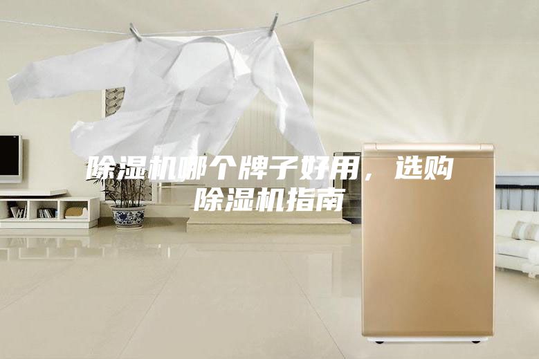 除湿机哪个牌子好用,选购除湿机指南