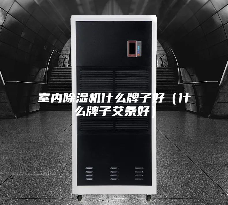 室内除湿机什么牌子好（什么牌子艾条好）