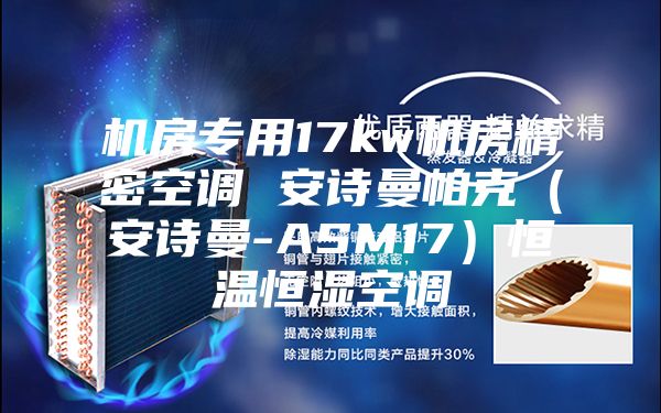 机房专用17kw机房精密空调 安诗曼帕克(安诗曼-ASM17)恒温恒湿空调