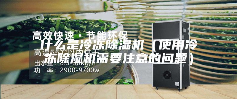 什么是冷冻除湿机(使用冷冻除湿机需要注意的问题)