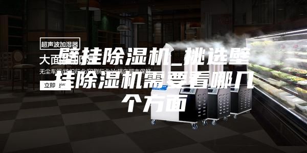 壁挂除湿机_挑选壁挂除湿机需要看哪几个方面