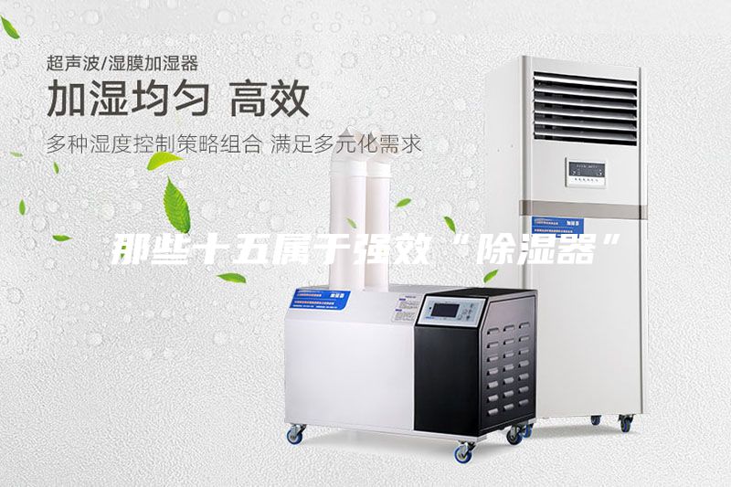 那些十五属于强效“除湿器”