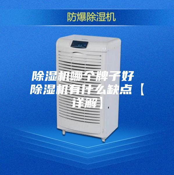 除湿机哪个牌子好 除湿机有什么缺点【详解】