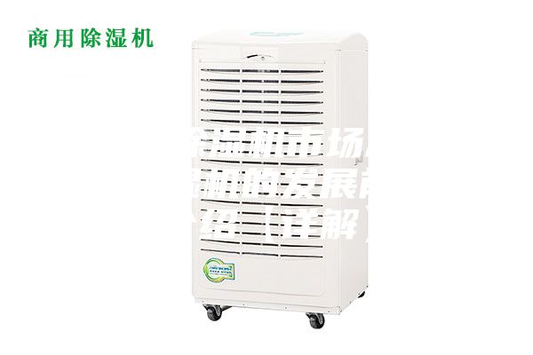 抽湿除湿机市场怎样 除湿机的发展前景介绍【详解】