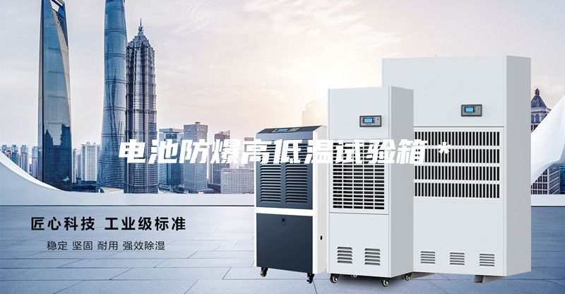 电池防爆高低温试验箱＊