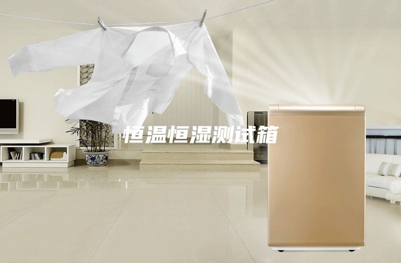 恒温恒湿测试箱