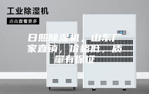 日照除湿机，山东厂家直销，价格低，质量有保证