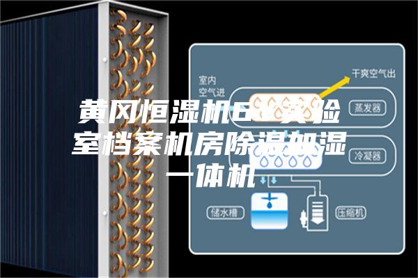 黄冈恒湿机6Y实验室档案机房除湿加湿一体机