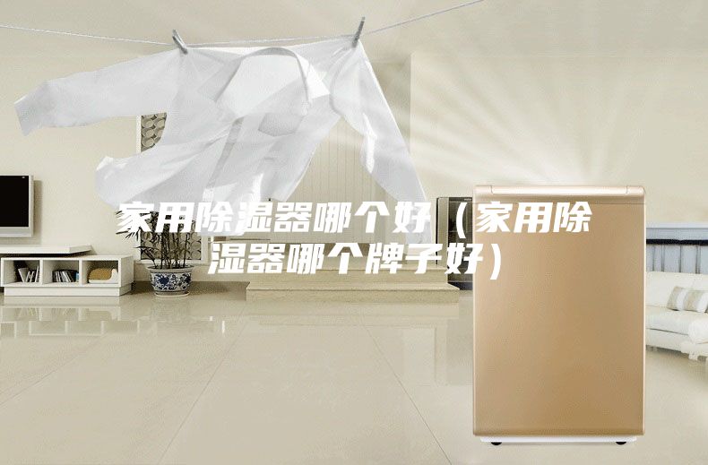 家用除湿器哪个好（家用除湿器哪个牌子好）